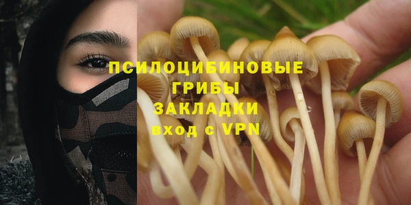 тгк Алексин