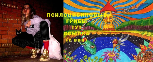 мескалин Пестово